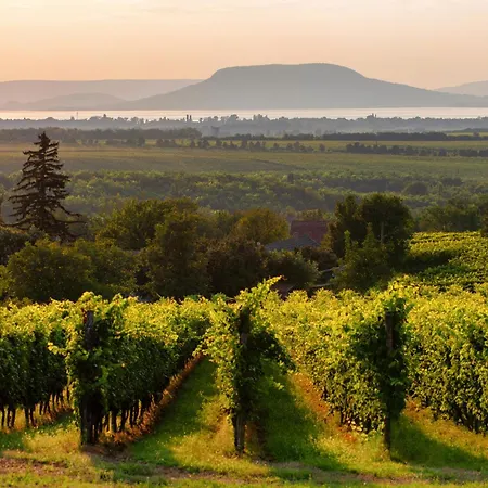 Homes In 48114 Balatonmáriafürdő