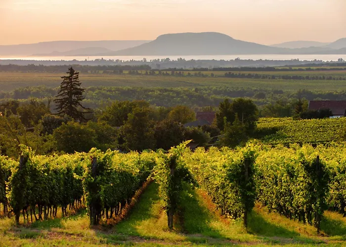Homes In 48114 Balatonmáriafürdő